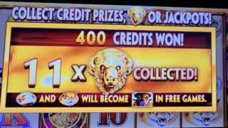 EPIC Win on Buffalo Gold Revolution! Started with 11 Buffalo Heads!