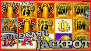 Pure Cash Tiger Cash HANDPAY JACKPOT ⭐️HIGH LIMIT MAX BET Bonus Round Slot Machine Casino