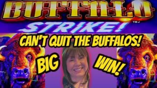 STRIKE WHILE ITS HOT- BIG WIN BUFFALO STRIKE BONUS!