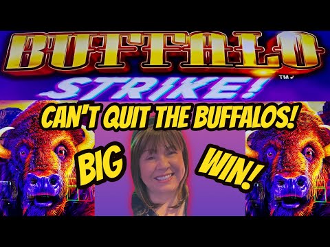 STRIKE WHILE ITS HOT- BIG WIN BUFFALO STRIKE BONUS!